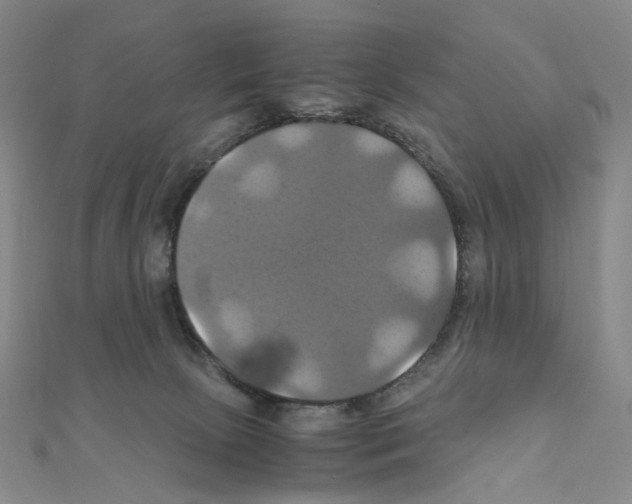 X0000110990081200907311019