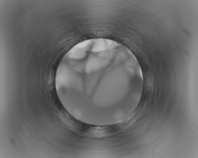 X0000110990082200907311019