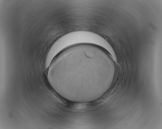 X0000110990084200907311019