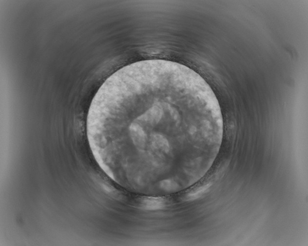 X0000110990085200907311019