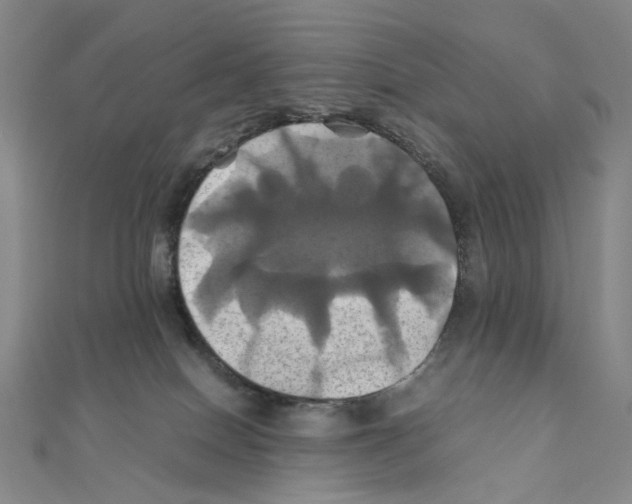 X0000110990086200907311019