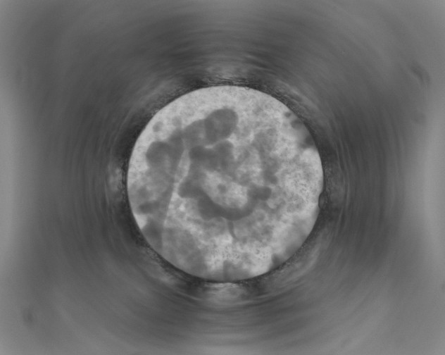 X0000110990087200907311019