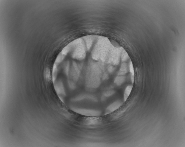X0000110990089200907311019