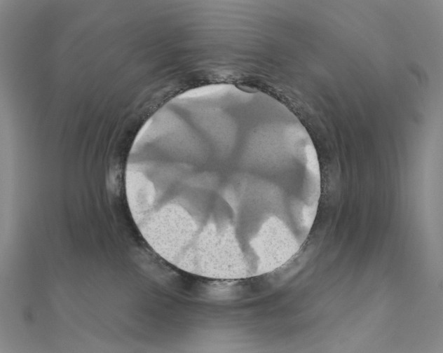 X0000110990090200907311019