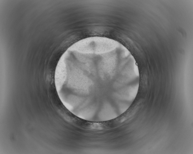X0000110990091200907311019