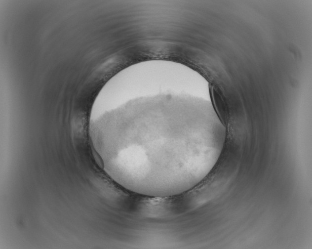 X0000110990092200907311019