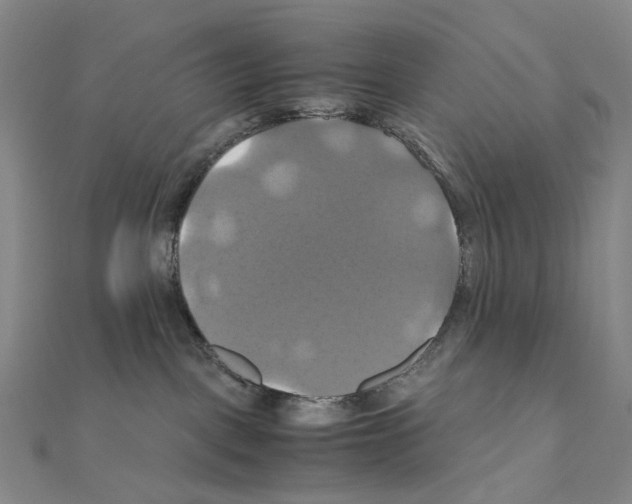 X0000110990093200907311019