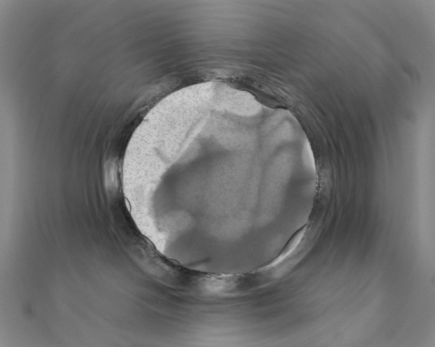 X0000110990094200907311019