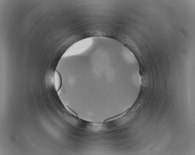 X0000110990095200907311019