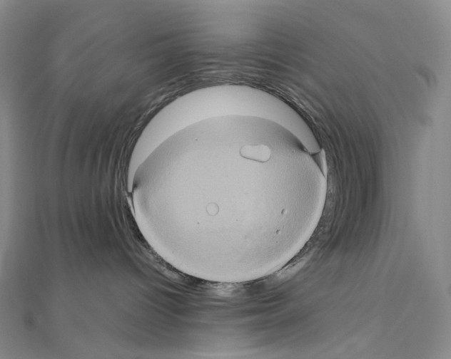 X0000110990096200907311019