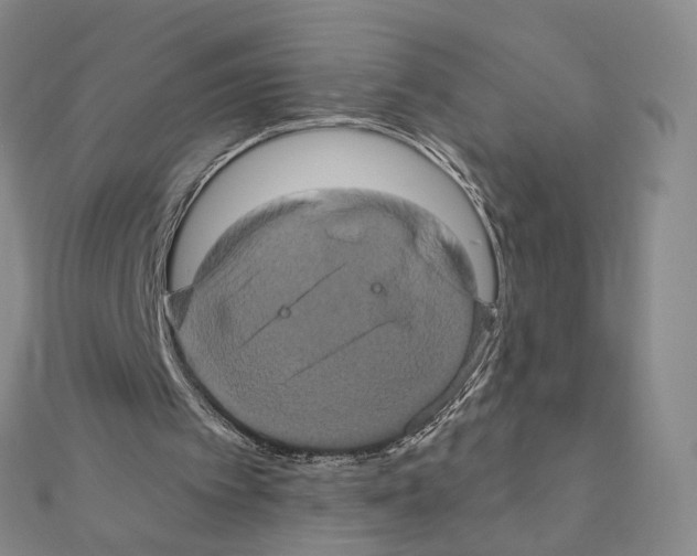 X0000110990097200907311018