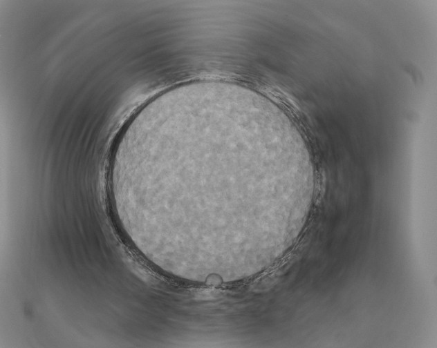 X0000110990098200907311018