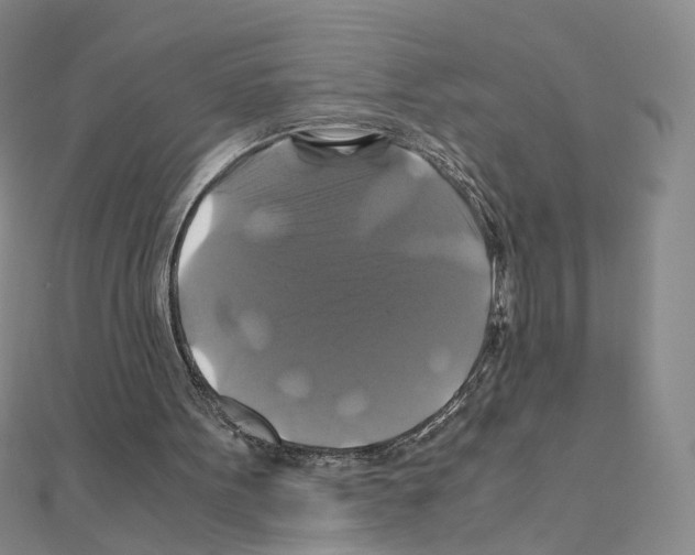 X0000110990099200907311018