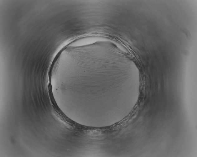 X0000110990100200907311018