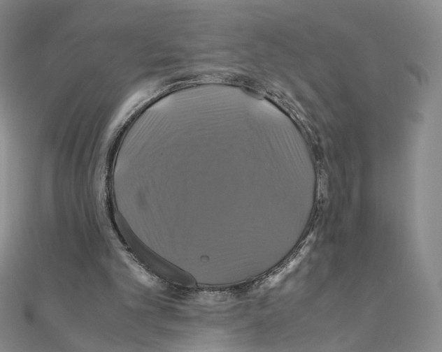 X0000110990101200907311018