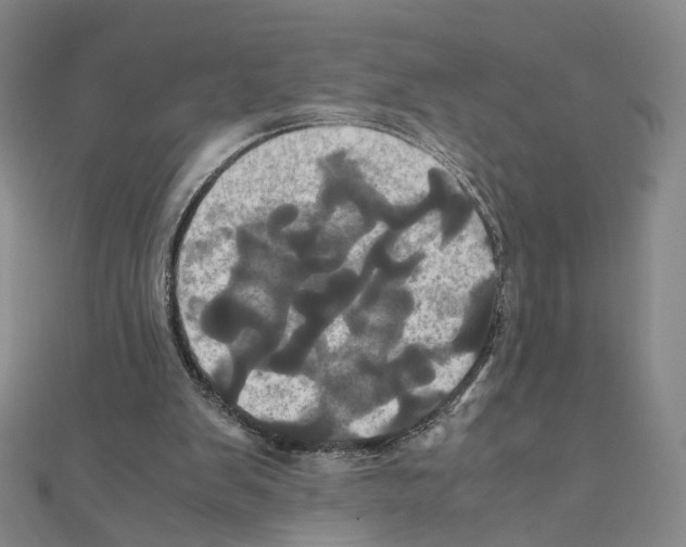 X0000110990103200907311018