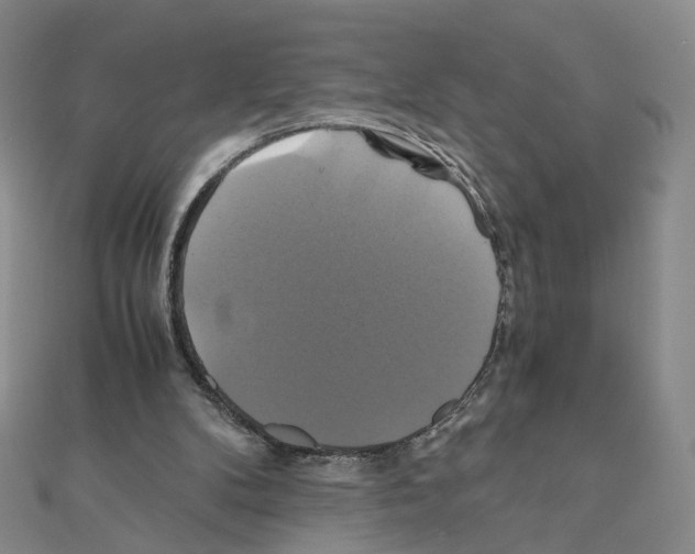 X0000110990104200907311018