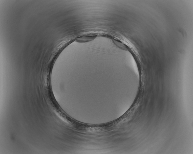 X0000110990105200907311018