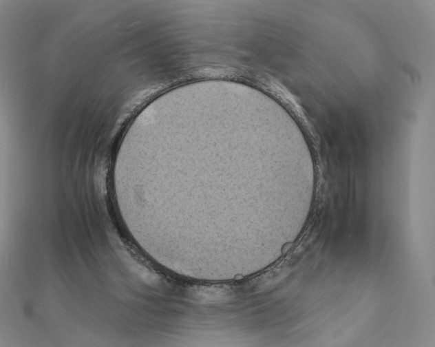 X0000110990106200907311018