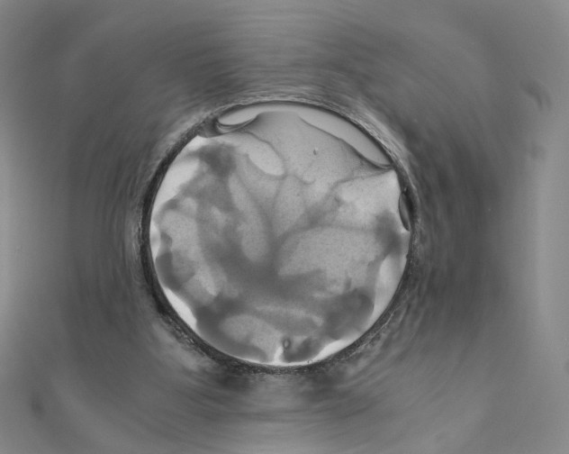 X0000110990107200907311018