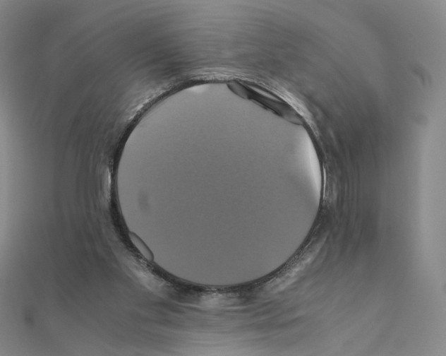 X0000110990109200907311018