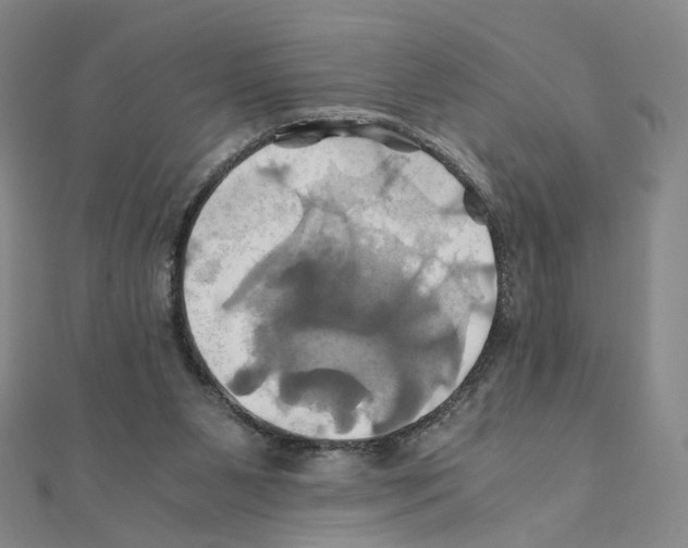 X0000110990111200907311018