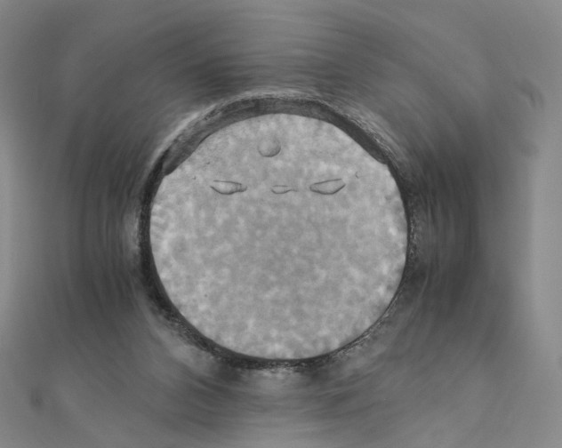 X0000110990112200907311018