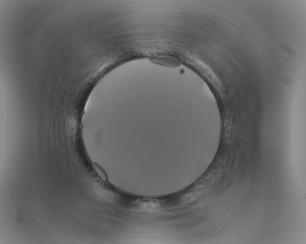 X0000110990113200907311018