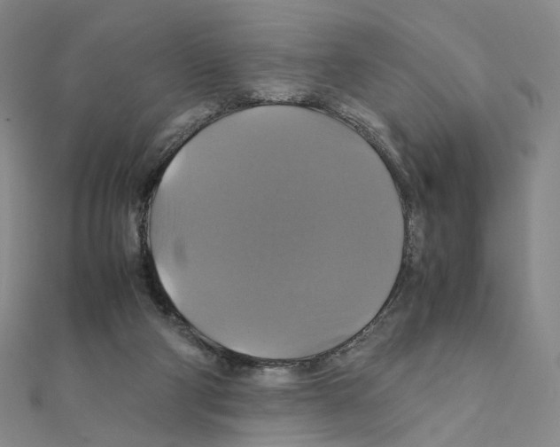 X0000110990114200907311018
