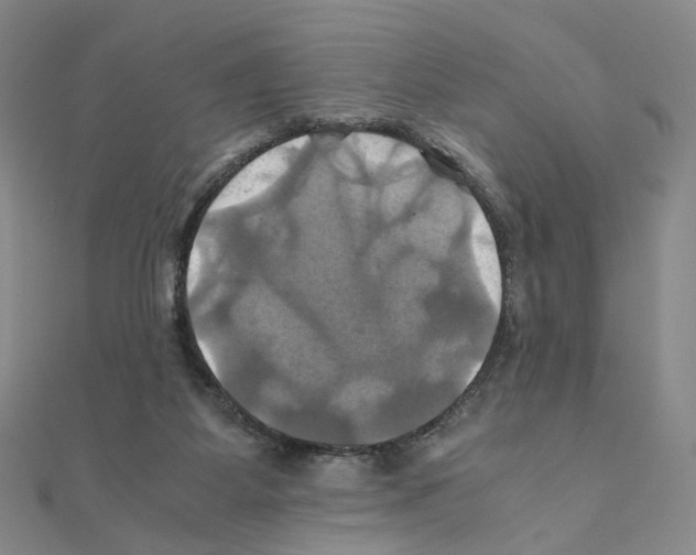 X0000110990115200907311018