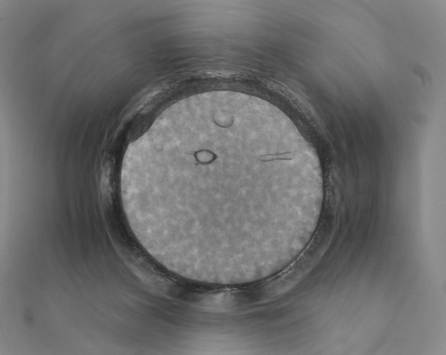 X0000110990116200907311018