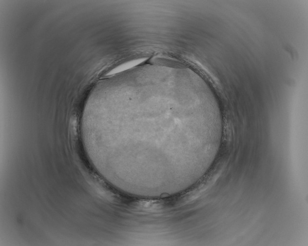 X0000110990117200907311018