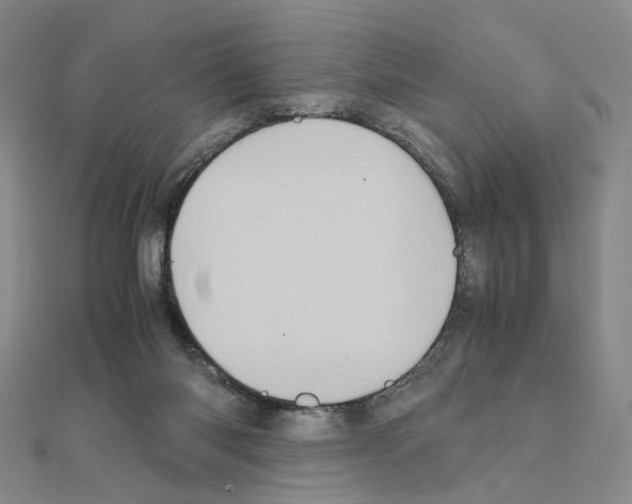 X0000110990118200907311018
