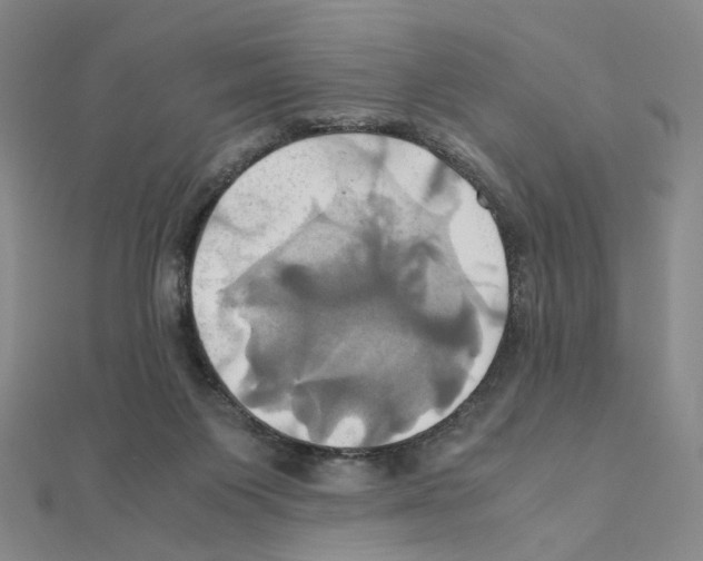 X0000110990119200907311018