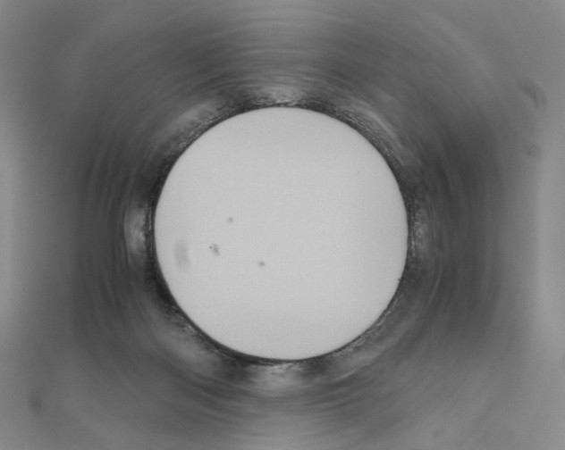 X0000110990122200907311018