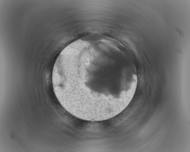 X0000110990123200907311018