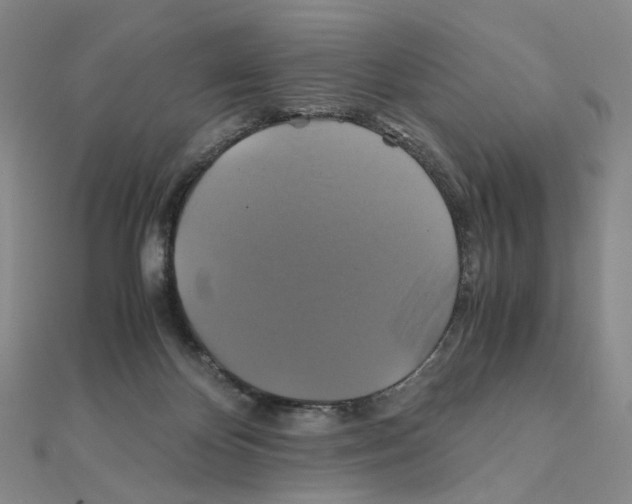 X0000110990124200907311018