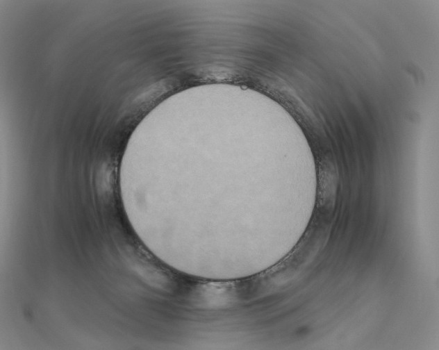 X0000110990126200907311018