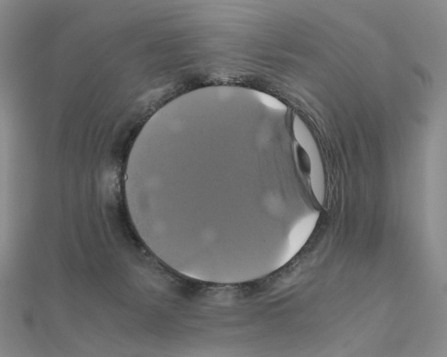 X0000110990127200907311018