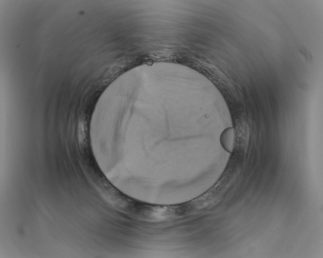 X0000110990130200907311018