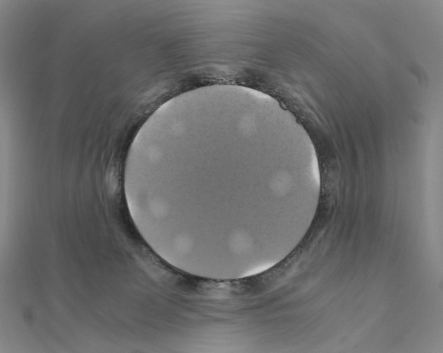 X0000110990131200907311018