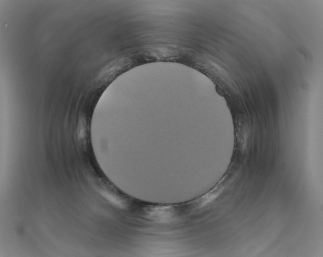 X0000110990132200907311018