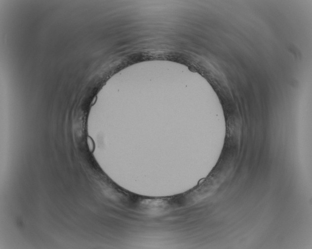 X0000110990133200907311018