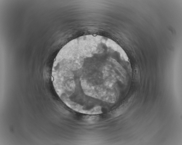 X0000110990135200907311018