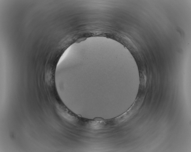 X0000110990136200907311018