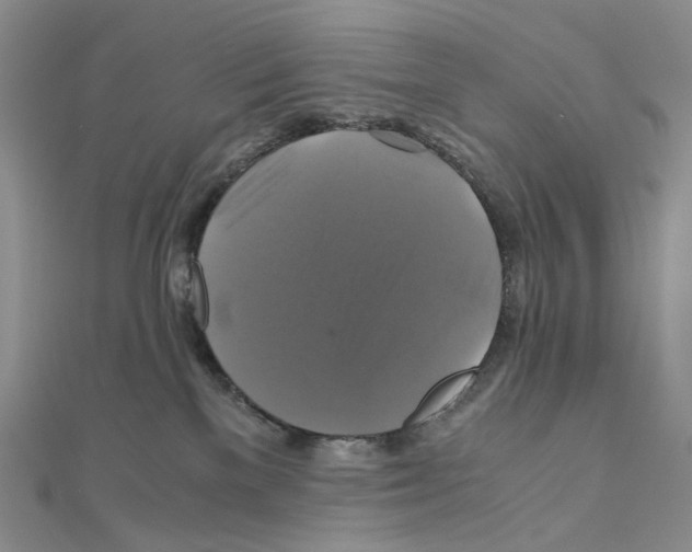 X0000110990137200907311018