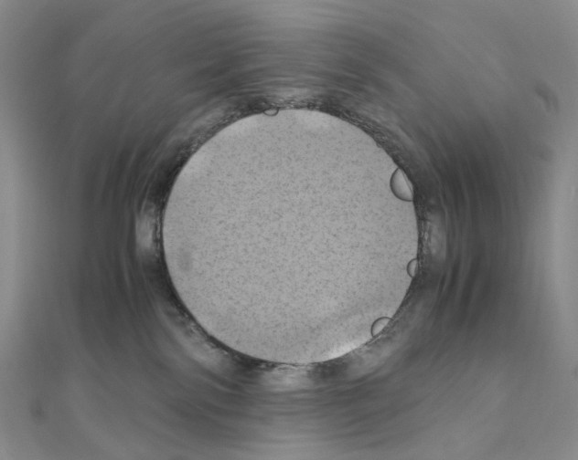 X0000110990138200907311018