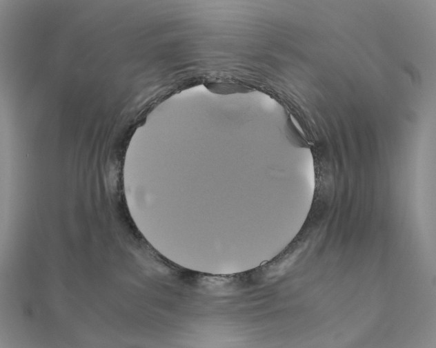 X0000110990139200907311018