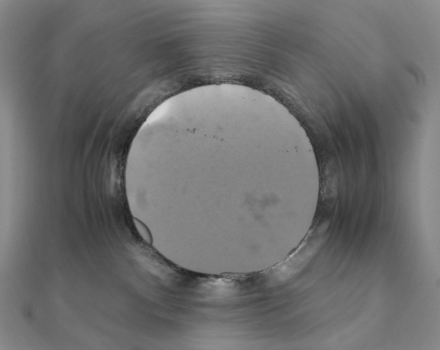 X0000110990140200907311018