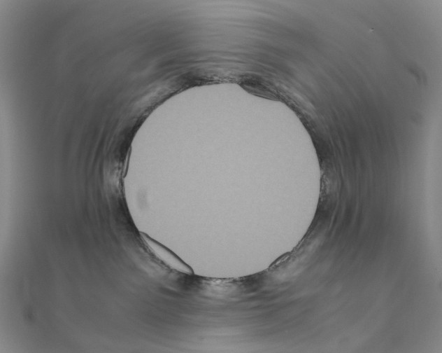 X0000110990141200907311018
